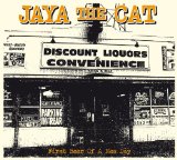 First Beer Of A New Day Lyrics Jaya The Cat