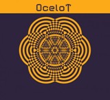 Ocelot Tracks Lyrics Ocelot