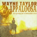 It's Gonna Be a Beautiful Day Lyrics Wayne Taylor And Appaloosa