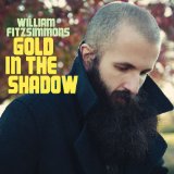 Gold In The Shadow Lyrics William Fitzsimmons