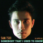 Somebody That I Used To Know (A Cappella) (Single) Lyrics Sam Tsui