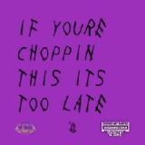 If You’re Choppin This It’s Too Late Lyrics OG Ron C & DJ Candlestick