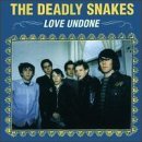 Love Undone Lyrics The Deadly Snakes