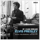 If I Can Dream Lyrics Elvis Presley & Royal Philharmonic Orchestra
