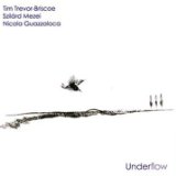 Underflow Lyrics Tim Trevor-Briscoe