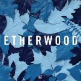 Blue Leaves Lyrics Etherwood