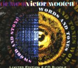 Sword And Stone / Words And Tones Lyrics Victor Wooten