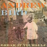 Break it Yourself Lyrics Andrew Bird
