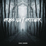Grass Ain't Greener (Single) Lyrics Chris Brown