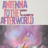 Antenna To The Afterworld Lyrics Sonny & The Sunsets