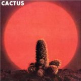 Miscellaneous Lyrics Cactus