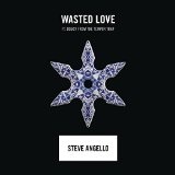 Wasted Love (Single) Lyrics Steve Angello