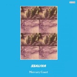 Mercury Coast Lyrics Ssaliva