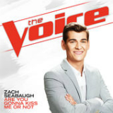 Are You Gonna Kiss Me Or Not (The Voice Performance) [Single] Lyrics Zach Seabaugh