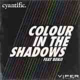 Colour In The Shadows Lyrics Cyantific