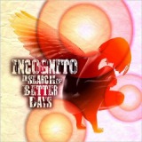 In Search Of Better Days Lyrics Incognito