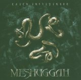 Catch Thirtythree Lyrics Meshuggah