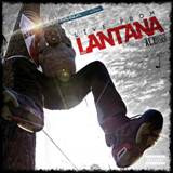 Live From Lantana Lyrics Easy Lantana