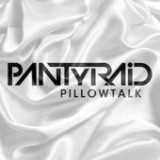 Pillowtalk Lyrics PantyRaid