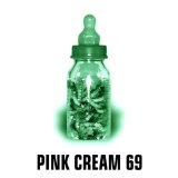 Food For Thought Lyrics Pink Cream 69