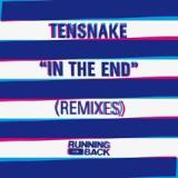 In The End (Remixes) Lyrics Tensnake