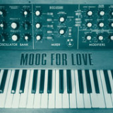 Moog for Love (EP) Lyrics Disclosure