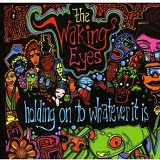 Holding On To Whatever It Is Lyrics The Waking Eyes