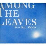 Sun Kil Moon Lyrics Among The Leaves