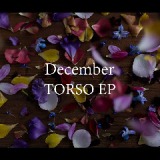 Torso Lyrics December