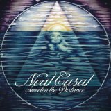 Sweeten the Distance Lyrics Neal Casal