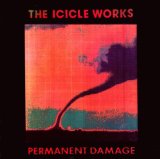 Permanent Damage Lyrics The Icicle Works
