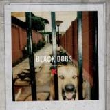 Black Dogs EP Lyrics Boys Night Out