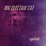 Eyelash  Lyrics Big Electric Cat