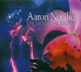Orchid In The Storm Lyrics Aaron Neville