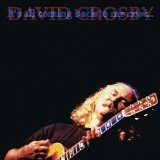 It's All Coming Back To Me Now Lyrics David Crosby