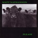 Please Lyrics Matt Nathanson