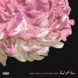 Bed of Lies (Single) Lyrics Nicki Minaj