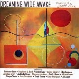 Dreaming Wide Awake Lyrics Scott Alan