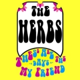 These Are the Days My Friend Lyrics The Herbs