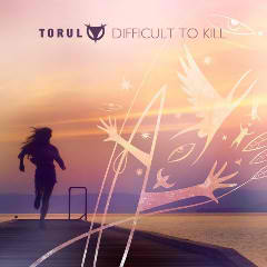 Difficult To Kill Lyrics Torul