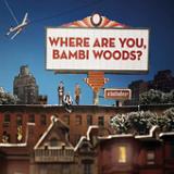 Where Are You, Bambi Woods? Lyrics A Balladeer