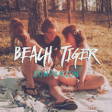 Companion (Single) Lyrics Beach Tiger