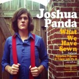 What We Have Sewn Lyrics Joshua Panda