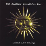 Not Another Beautiful Day Lyrics Jubal Lee Young