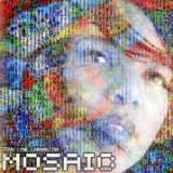 Mosaic Project Lyrics Terri Lyne Carrington