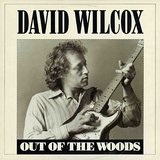 Out Of The Woods Lyrics David Wilcox