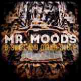 B-Sides & Other Stuff Lyrics Mr. Moods