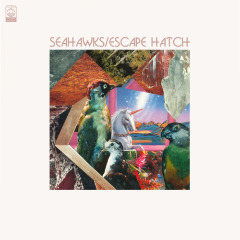 Escape Hatch Lyrics Seahawks