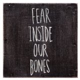 Fear Inside Our Bones Lyrics The Almost