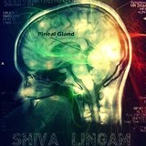 Pineal Gland Lyrics Shiva Lingam